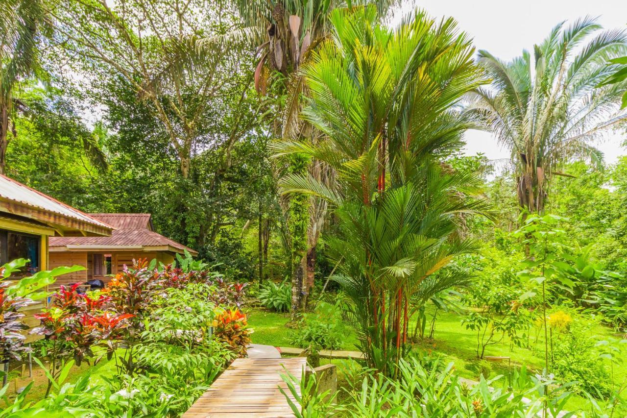 Hotel El Mono Feliz Охочаль Экстерьер фото