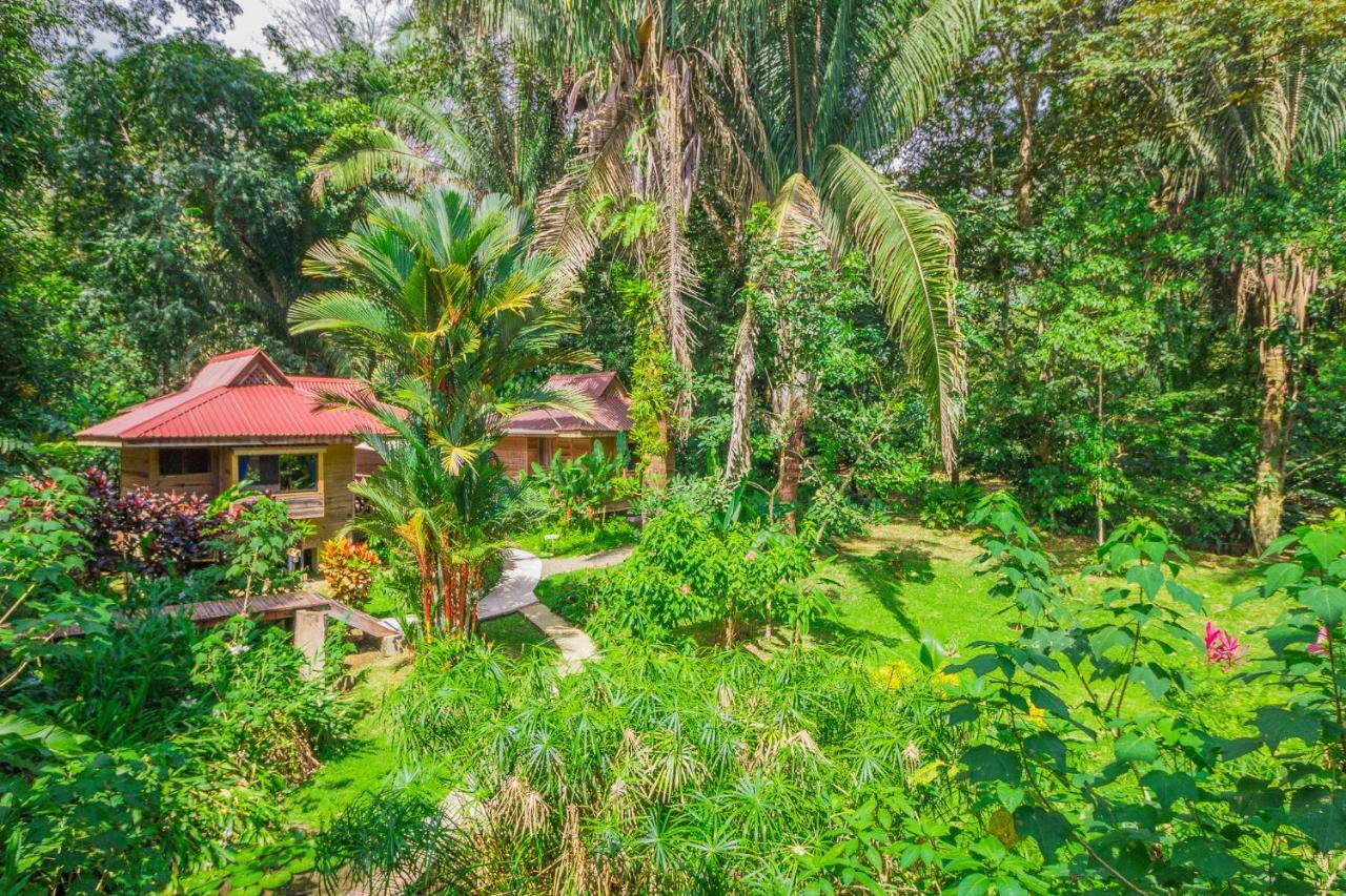 Hotel El Mono Feliz Охочаль Экстерьер фото